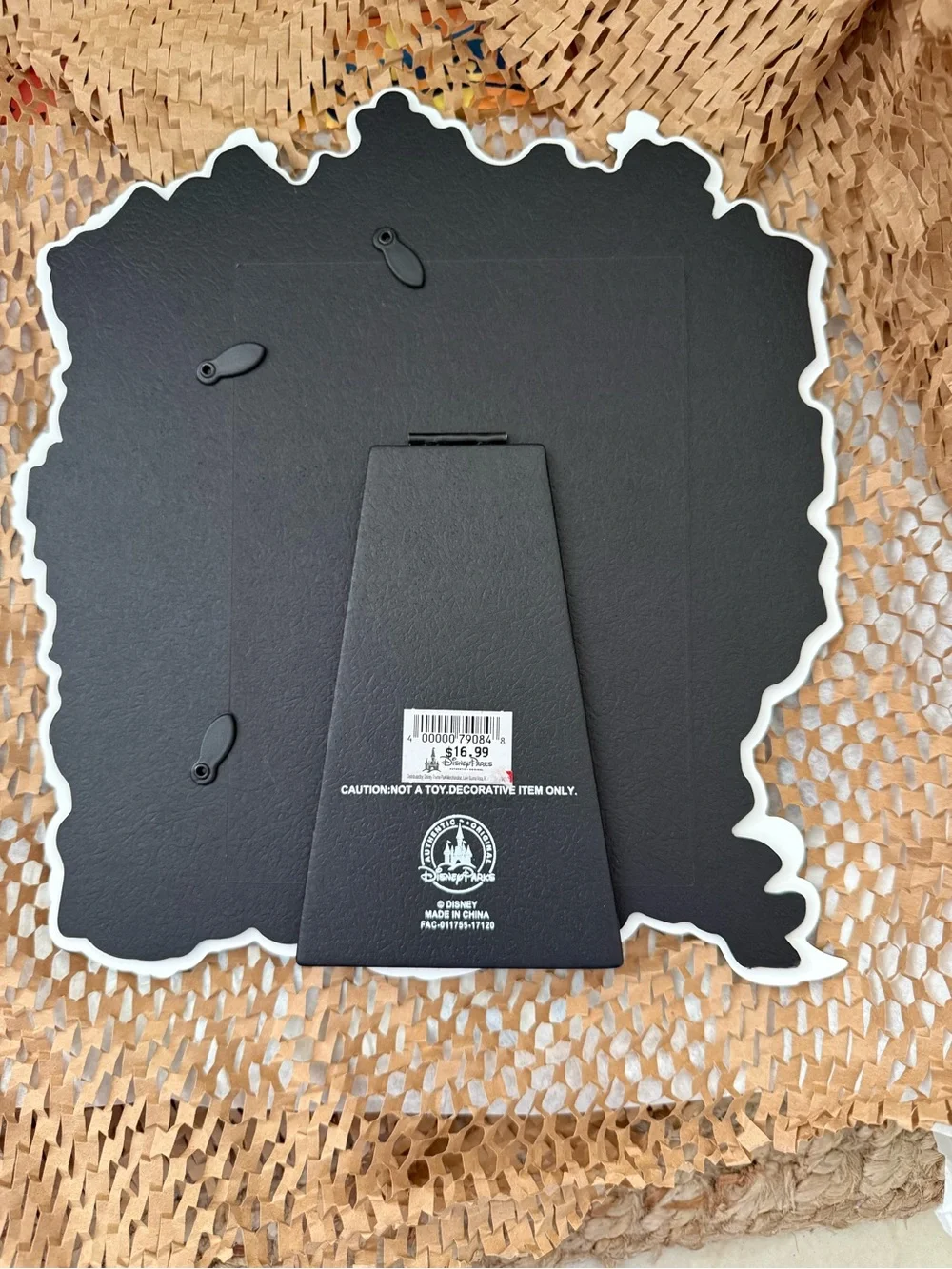 Disney Parks Splash Mountain Acrylic Frame